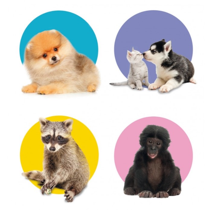 Clementoni - Memo Puppies - Image 4