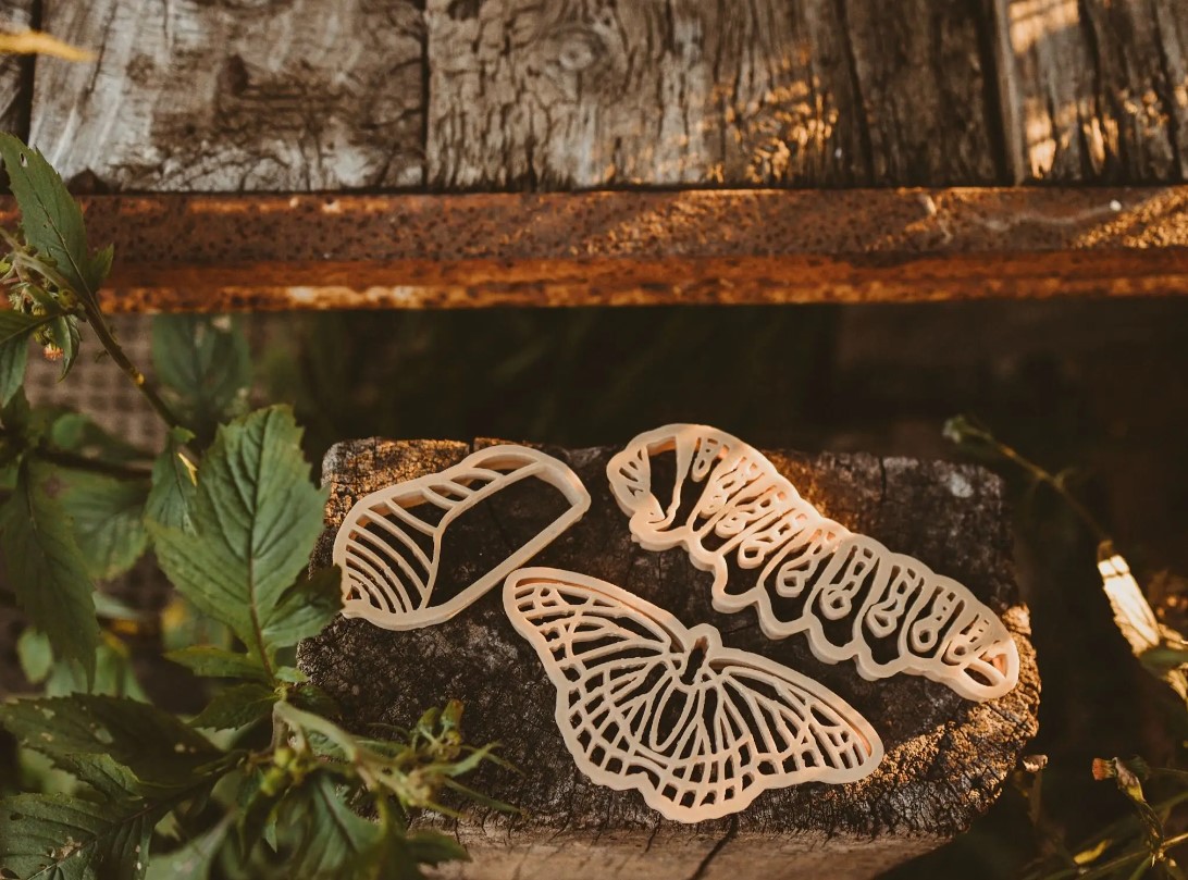 Kinfolk Pantry - Butterfly Life Cycle Set - Image 1
