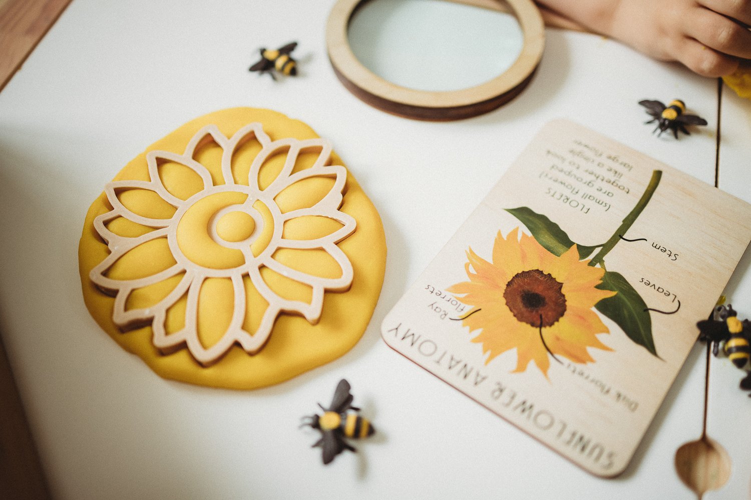 Kinfolk Pantry - Cortador Girassol - Image 1