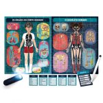HEADU - o Corpo Humano ao Raio-X - puzzle + lanterna - Image 3